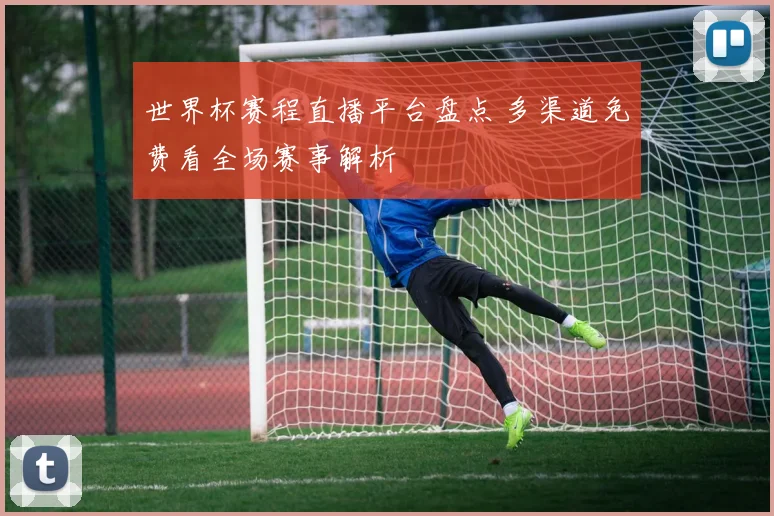 世界杯赛程直播平台盘点 多渠道免费看全场赛事解析