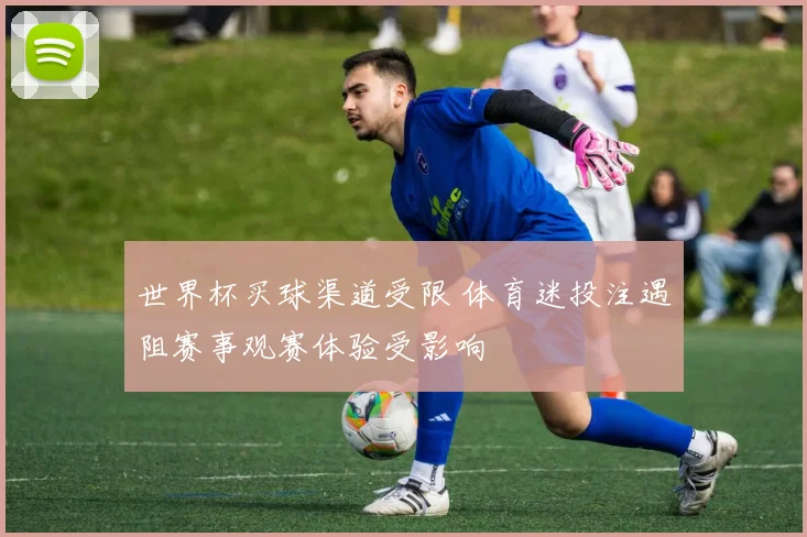 世界杯买球渠道受限 体育迷投注遇阻赛事观赛体验受影响