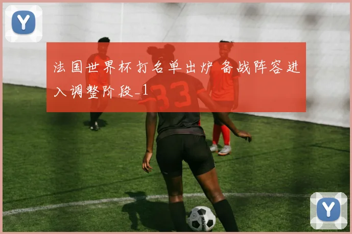 法国世界杯打名单出炉 备战阵容进入调整阶段_1