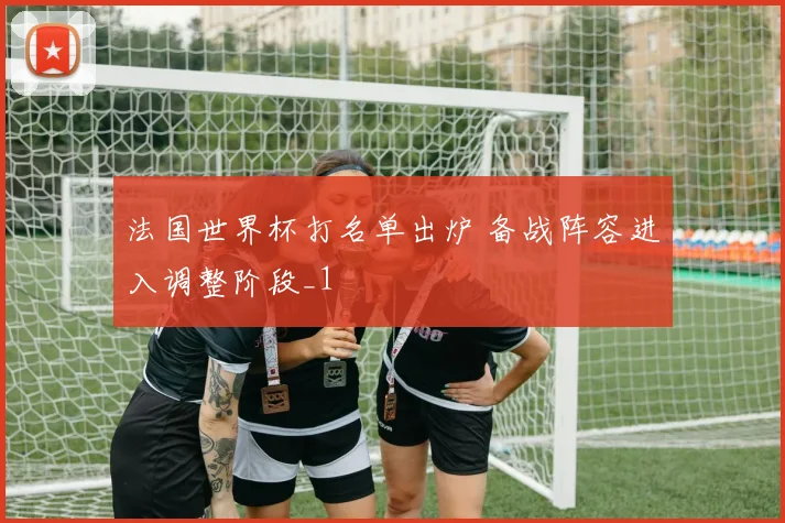 法国世界杯打名单出炉 备战阵容进入调整阶段_1