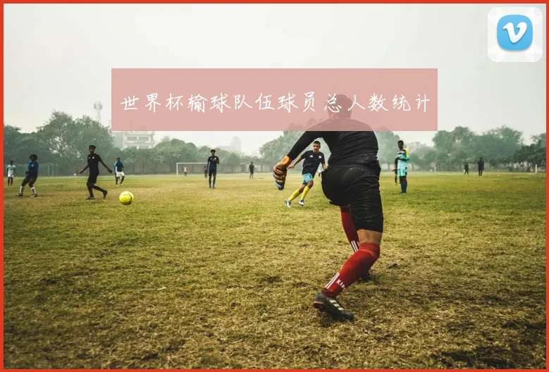 世界杯输球队伍球员总人数统计