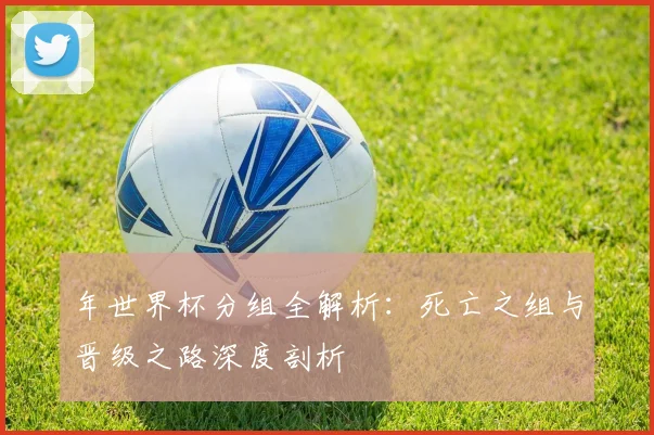 年世界杯分组全解析：死亡之组与晋级之路深度剖析
