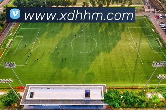 多媒体互动体验